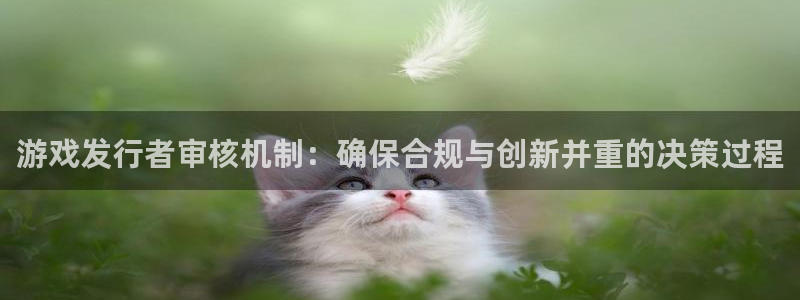 重庆pp电子子文化传播有限公司：游戏发行者审核机制：确保合规与创新并重的决策过程