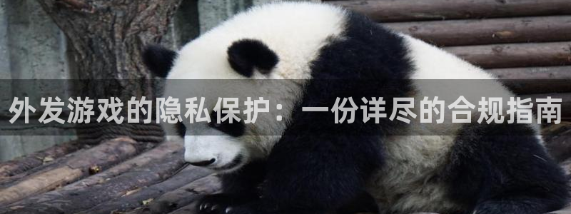 pp电子子文化创意有限公司：外发游戏的隐私保护：一份详尽的合规指南