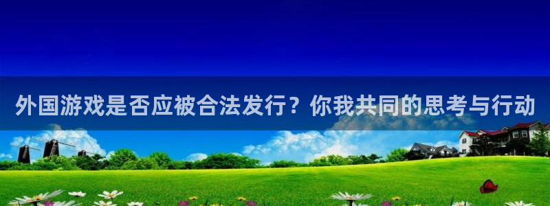 pp电子lvnces是什么档次：外国游戏是否应被合法发行？你我共同的思考与行动