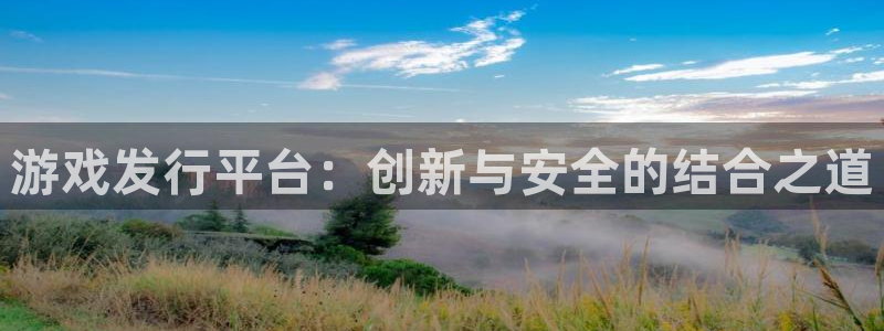 pp电子集团是什么企业
