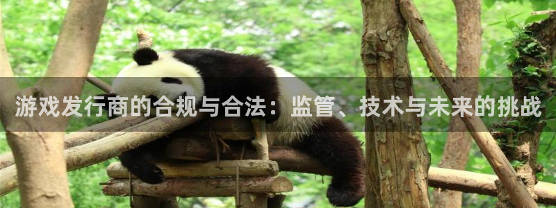 陕西pp电子子文化创意是什么