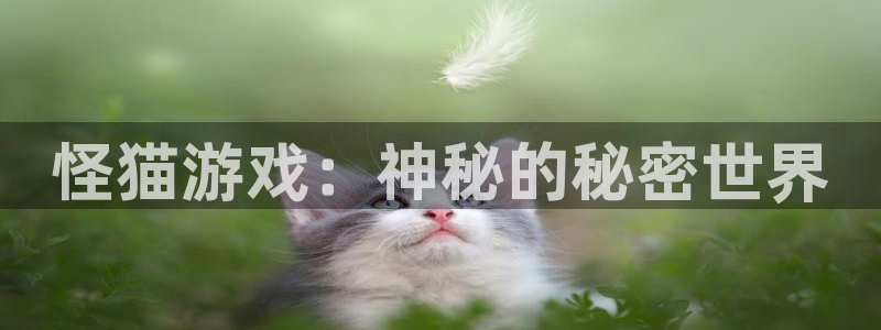 pp电子服装品牌：怪猫游戏：神秘的秘密世界