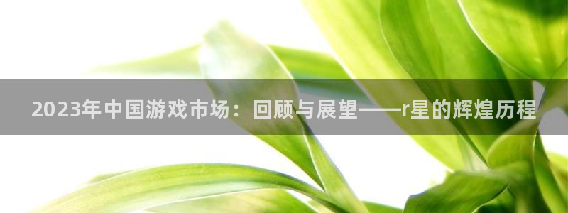 pp电子子文化创意做什么的：2023年中国游戏市场：回顾与展望——r星的辉煌历程