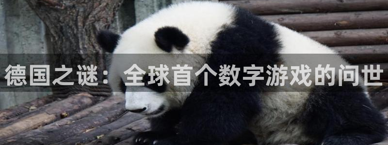 陕西pp电子子文化创意有限公司有什么游戏：德国之谜：全球首个数字游戏的问世