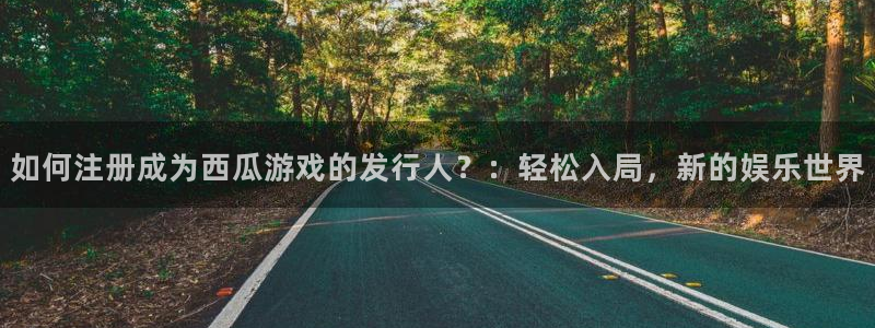 陕西pp电子子文化创意有限公司1：如何注册成为西瓜游戏的发行人？：轻松入局，新的娱乐世界