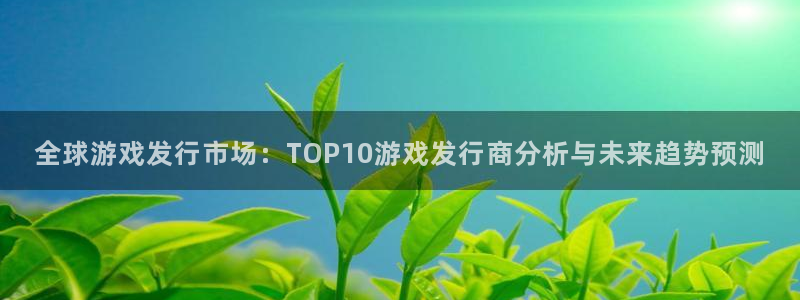 法国pp电子：全球游戏发行市场：TOP10游戏发行商分析与未来趋势预测