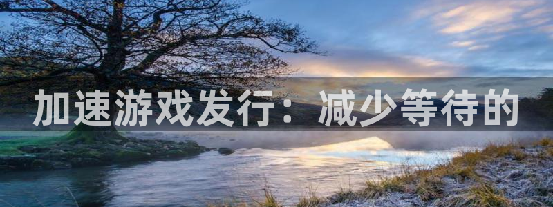 pp电子酒庄：加速游戏发行：减少等待的