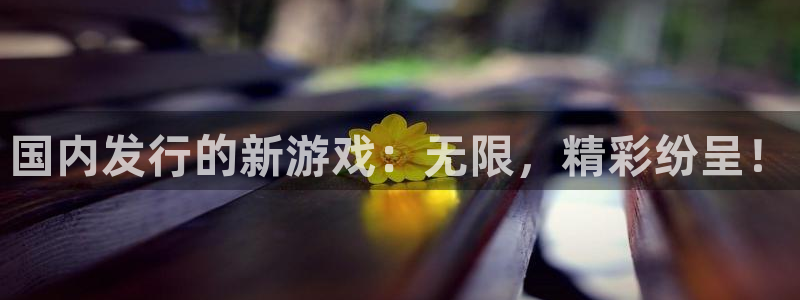 pp电子子的图片：国内发行的新游戏：无限，精彩纷呈！