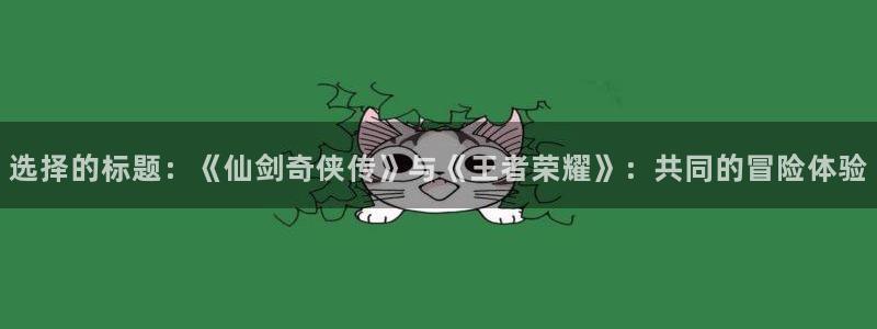pp电子电子商务有限公司怎么样