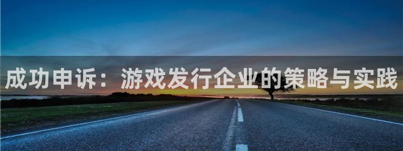 pp电子好还是红狮好：成功申诉：游戏发行企业的策略与实践