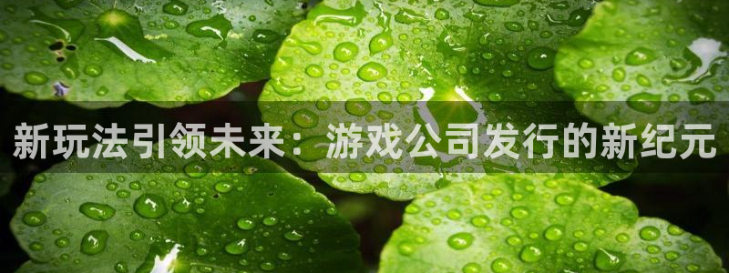 pp电子官网注册方法视频教程：新玩法引领未来：游戏公司发行的新纪元