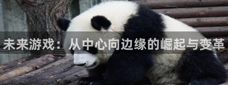 pp电子官网平台代理开号怎么开：未来游戏：从中心向边缘的崛起与变革