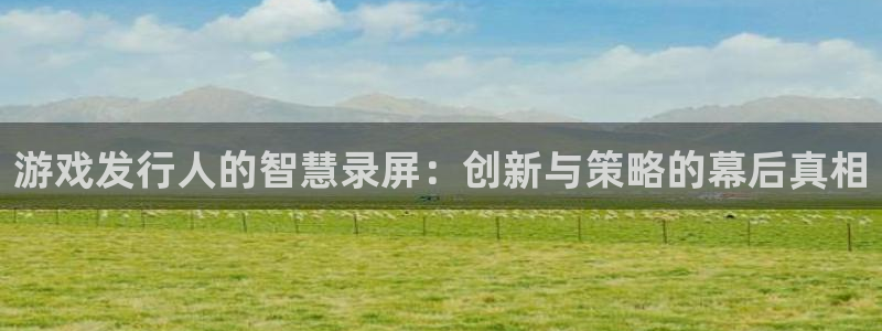 pp电子子的图片：游戏发行人的智慧录屏：创新与策略的幕后真相