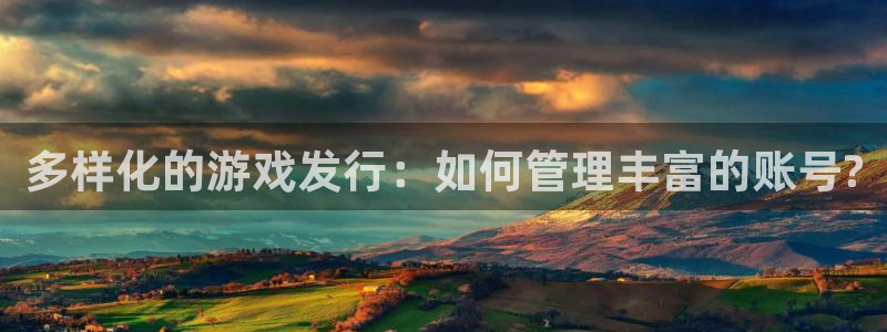 pp电子有什么寓意：多样化的游戏发行：如何管理丰富的账号?