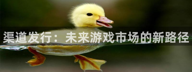 pp电子子写作课：渠道发行：未来游戏市场的新路径