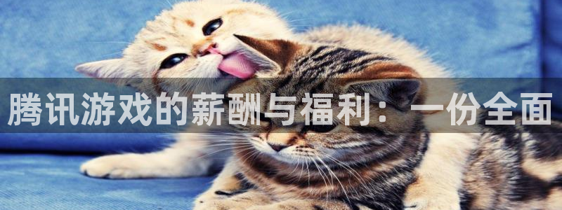 pp电子官网注册方法是什么软件