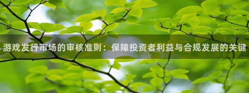 pp电子商标：游戏发行市场的审核准则：保障投资者利益与合规发展的关键