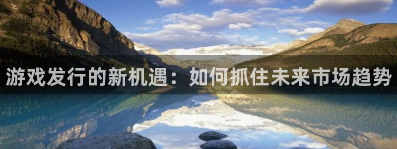 pp电子子书单：游戏发行的新机遇：如何抓住未来市场趋势