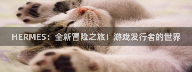 pp电子子文化是干嘛的：HERMES：全新冒险之旅！游戏发行者的世界
