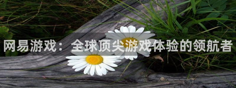 pp电子官网登录注册账号失败怎么办：网易游戏：全球顶尖游戏体验的领航者