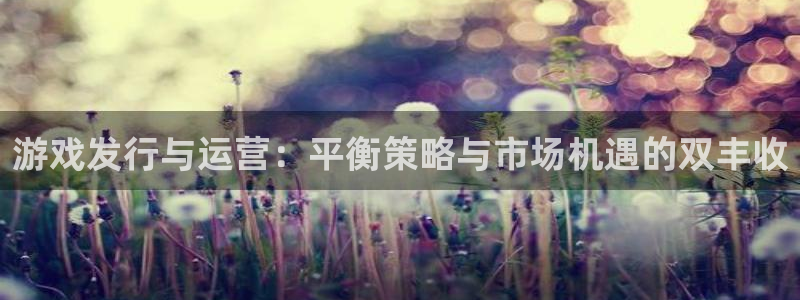 广州pp电子投资